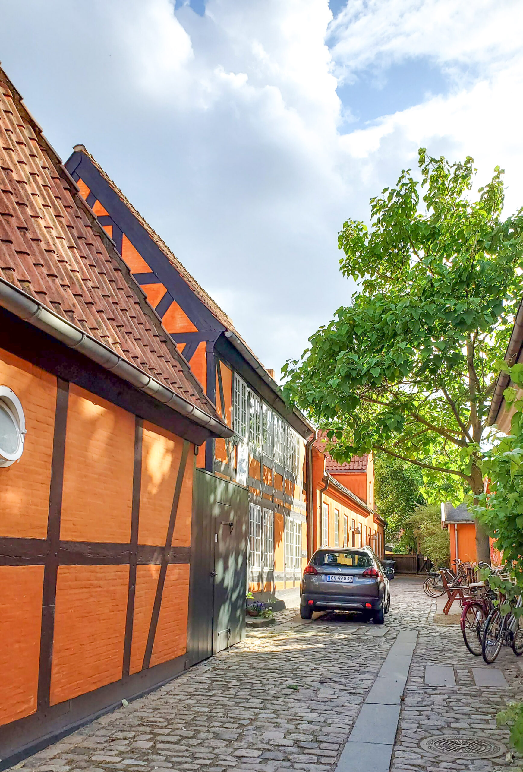 Salted Branding brand and web design